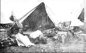 Newfoundland Tent